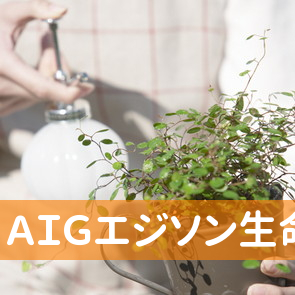 ＡＩＧエジソン生命保険（株）滝川営業所