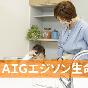 ＡＩＧエジソン生命保険（株）碧南営業所