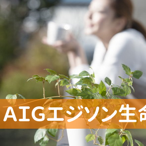 ＡＩＧエジソン生命保険（株）米子営業所