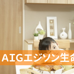 ＡＩＧエジソン生命保険（株）米沢営業所