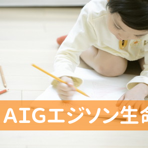 ＡＩＧエジソン生命保険（株）金沢フィールドサービスオフィス