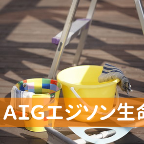 ＡＩＧエジソン生命保険（株）鳥栖営業所