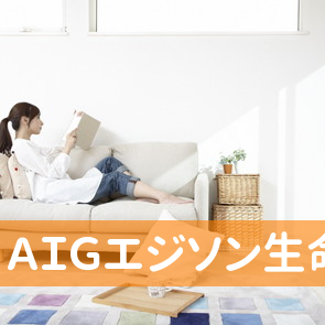 ＡＩＧエジソン生命保険（株）鹿屋営業所