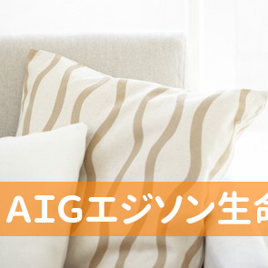 ＡＩＧエジソン生命保険（株）／奈良営業所