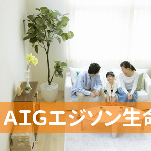 ＡＩＧエジソン生命保険（株）／弘前営業所