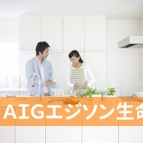 ＡＩＧエジソン生命保険（株）／草加営業所