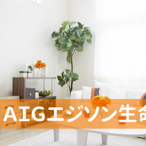 ＡＩＧエジソン生命保険（株）／釧路営業所