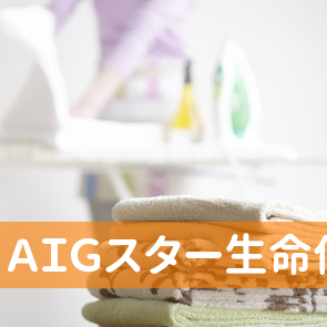 ＡＩＧスター生命保険（株）三島営業所