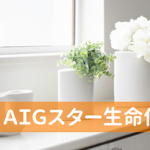 ＡＩＧスター生命保険（株）佐賀エージェンシーオフィス