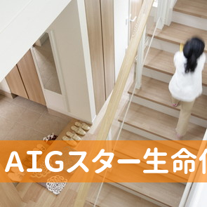 ＡＩＧスター生命保険（株）東大阪営業所