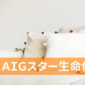 ＡＩＧスター生命保険（株）柏営業所