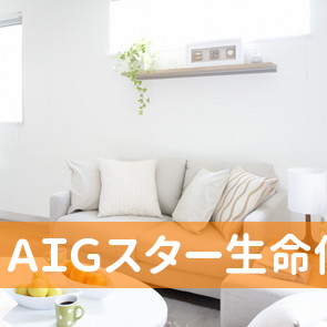 ＡＩＧスター生命保険（株）横手営業所