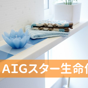 ＡＩＧスター生命保険（株）／堺エージェンシーオフィス