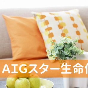 ＡＩＧスター生命保険（株）／山形エージェンシーオフィス