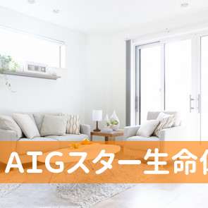 ＡＩＧスター生命（株）佐野営業所