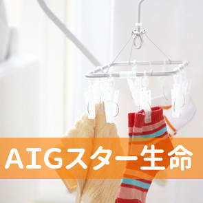 ＡＩＧスター生命／佐原営業所