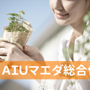 ＡＩＵマエダ総合保険