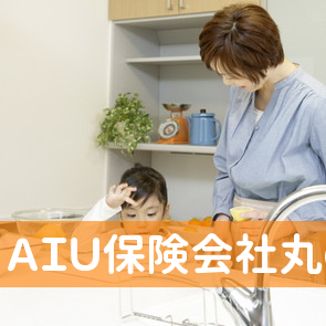 ＡＩＵ保険会社丸の内損保