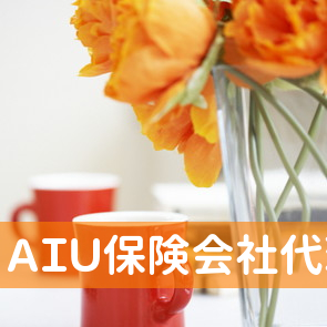 ＡＩＵ保険会社代理店エムケイプラン