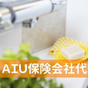 ＡＩＵ保険会社代理店サンケン関澤