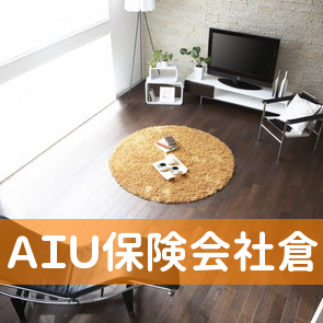 ＡＩＵ保険会社倉内代理店