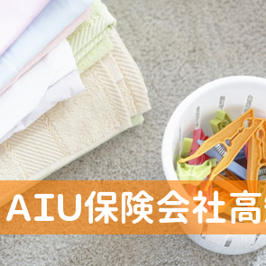 ＡＩＵ保険会社高知支店