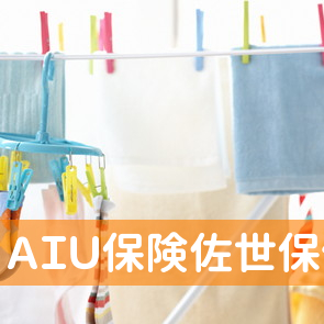 ＡＩＵ保険佐世保代理店