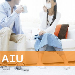 ＡＩＵ