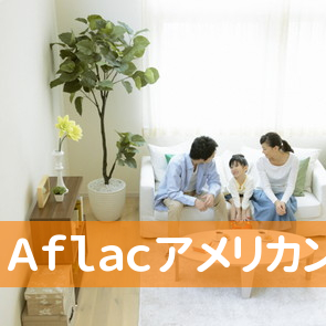 Ａｆｌａｃアメリカンファミリー生命保険岩久保険事務所