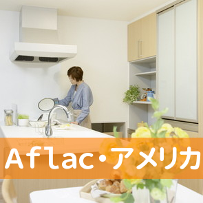 Ａｆｌａｃ・アメリカンファミリー生命保険代理店・益田事務所