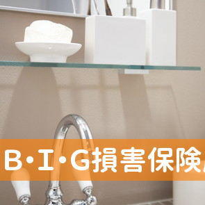 Ｂ・Ｉ・Ｇ損害保険厳木代理店