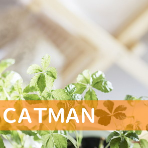 ＣＡＴＭＡＮ