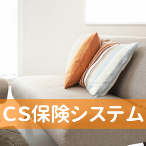 ＣＳ保険システム