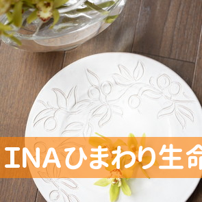 ＩＮＡひまわり生命ふじい商事（株）