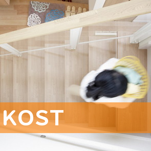 ＫＯＳＴ（有）