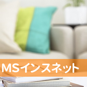 ＭＳインスネット