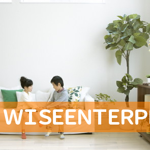 ＷＩＳＥＥＮＴＥＲＰＲＩＳＥ（株）